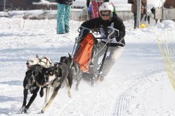 Lenk 2012 SM